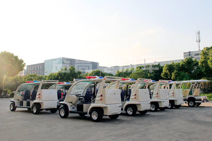 The Suzhou Eagle electric car contributied to the brics conference