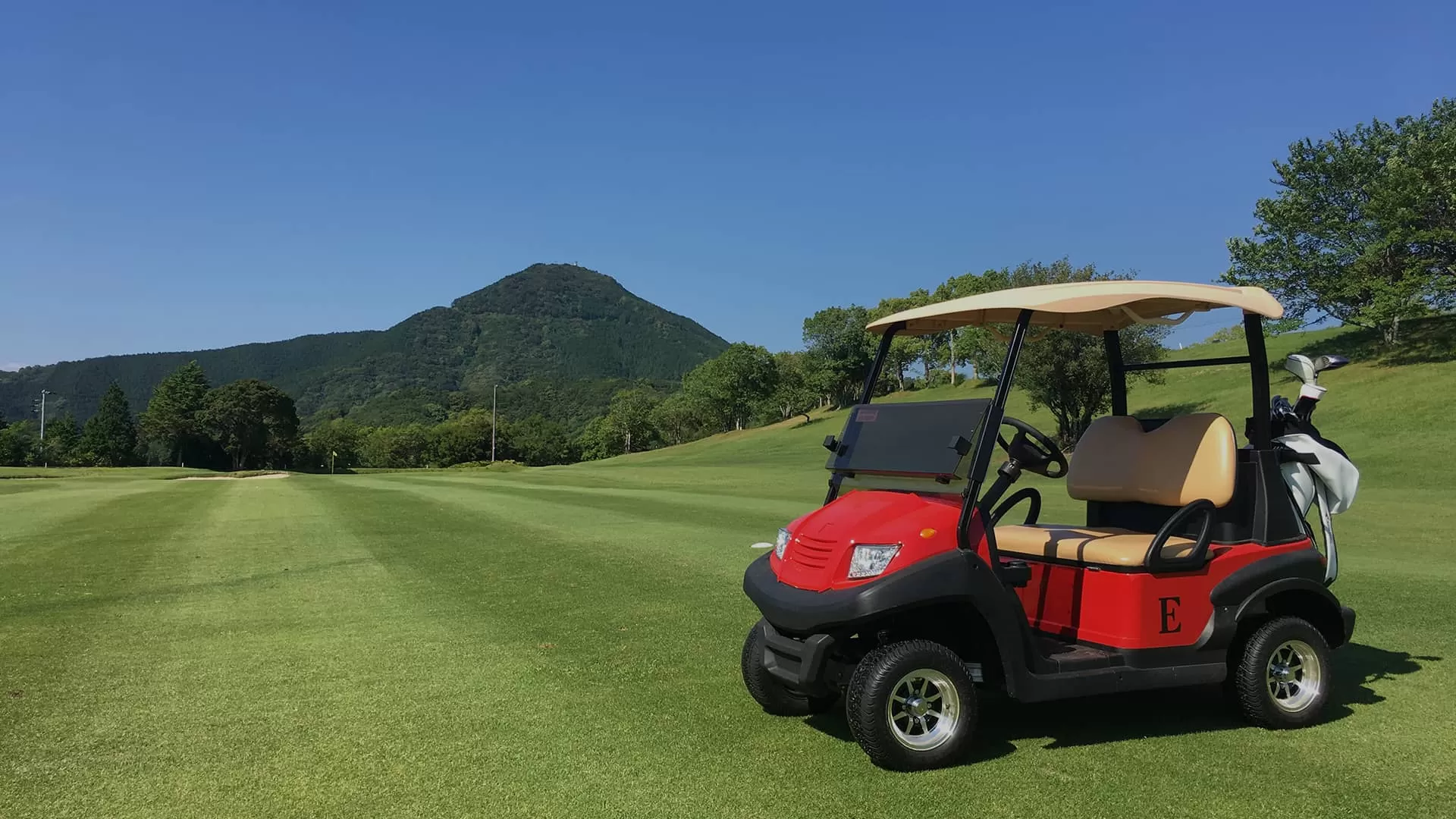 Eagle Electric Vehicle