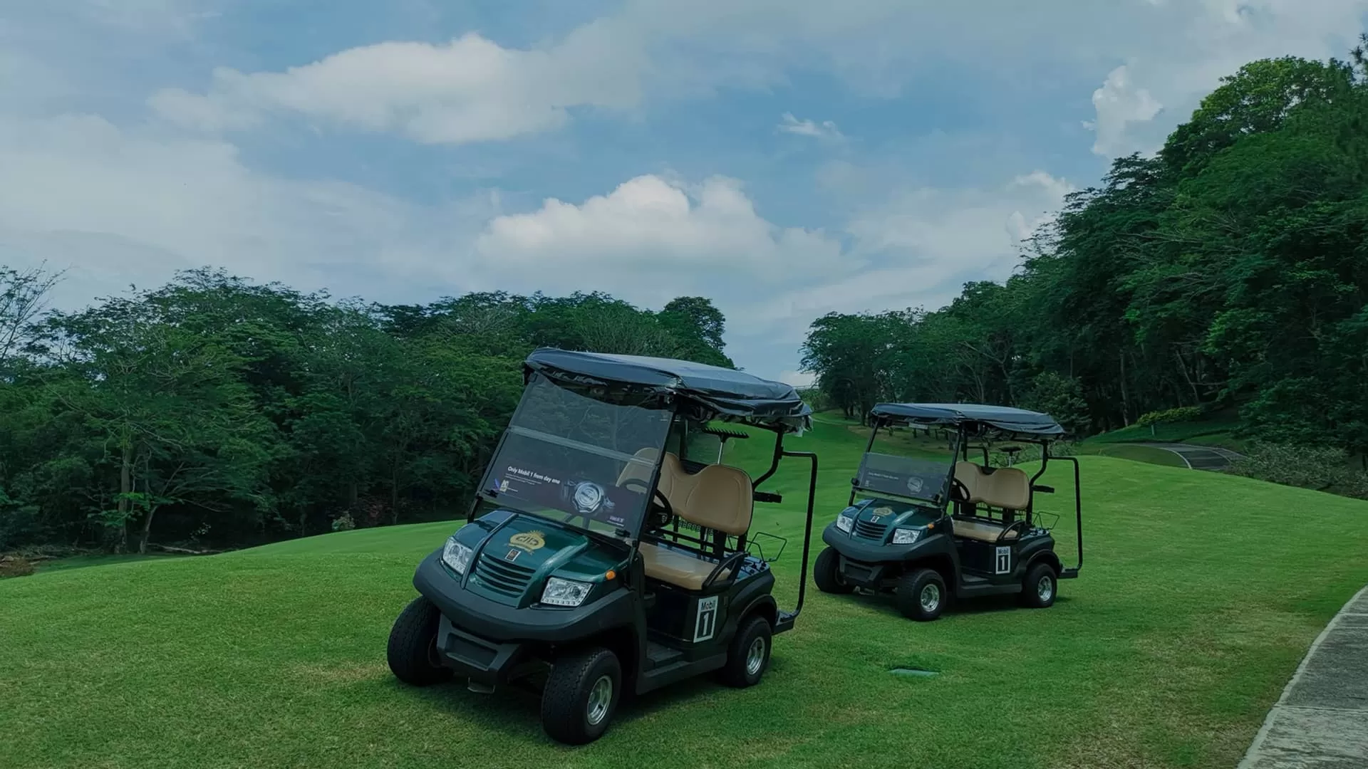 Eagle Electric Car