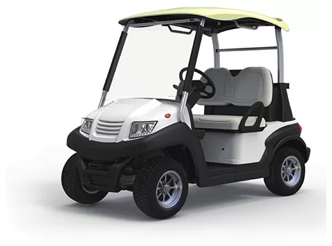 2 Seater Golf Electric Cart