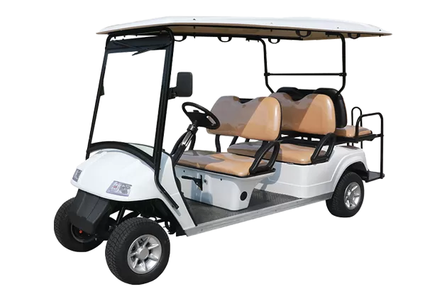 Eagle golf buggy 2025