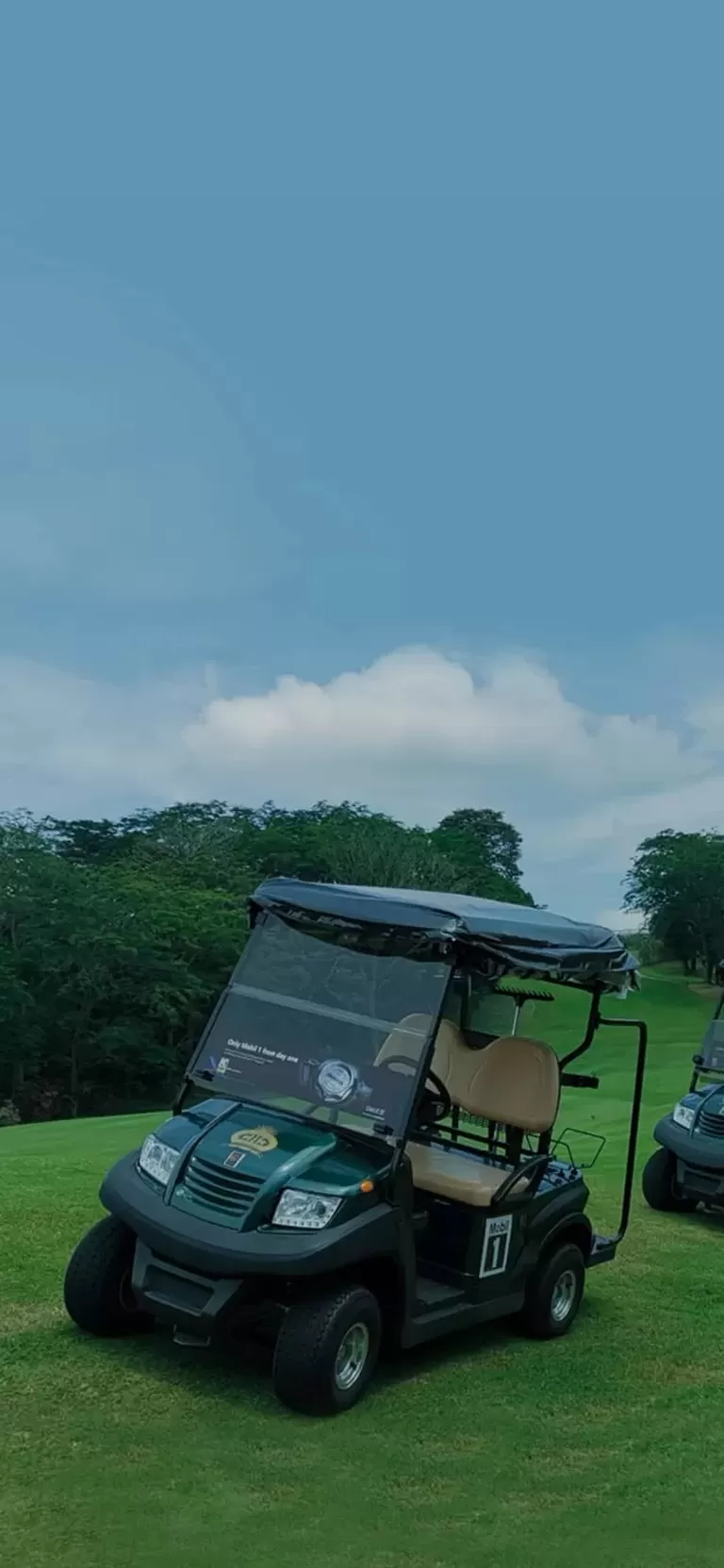 Eagle Will Bring You Convenience